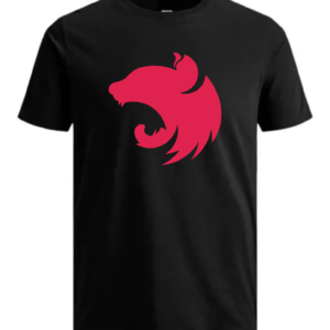 Camiseta Framework Nest Js Ds1