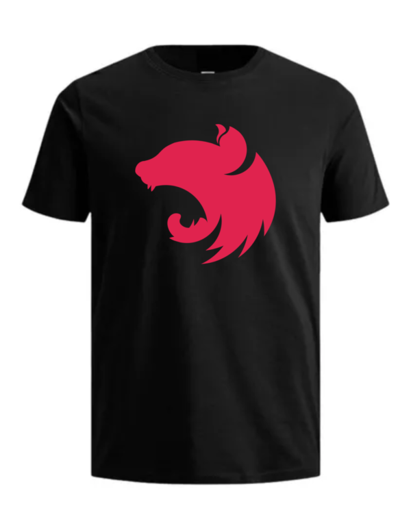 Camiseta Framework Nest Js Ds1